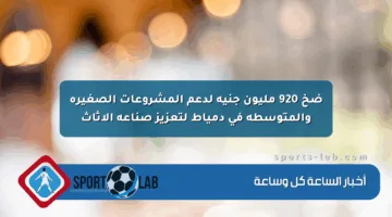 ضخ 920 مليون جنيه لدعم المشروعات الصغيرة والمتوسطة في دمياط لتعزيز صناعة الأثاث